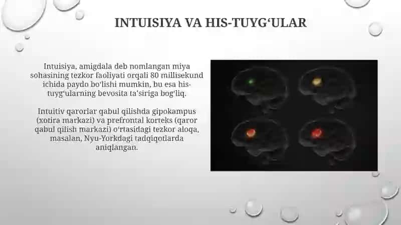 Sezgilar haqida umumiy tushuncha va nerv fiziologik asoslari 4