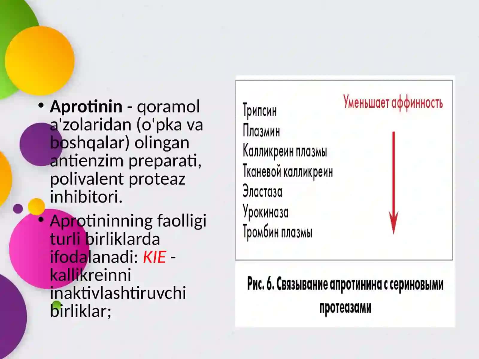Proteaza ingibitorlarining klinik farmakologiyasi 4