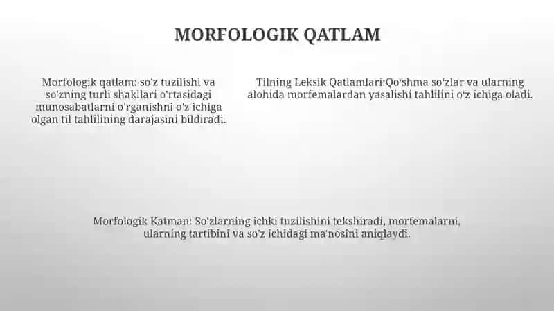 Tilning Leksik Qatlamlari 4