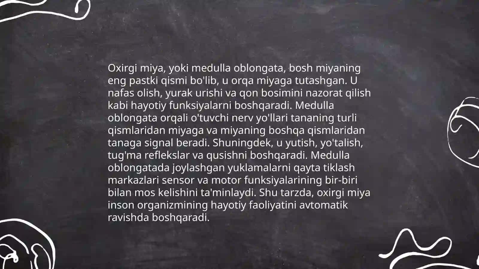 Oxirgi miya,asosiy egat va pushtalari 4
