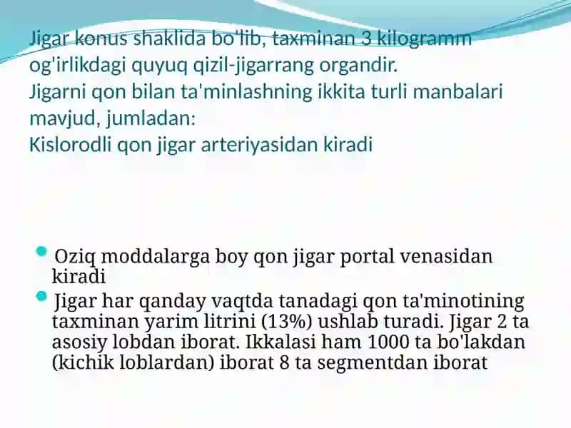 Jigar vame'da osti bezi anatomiya 4