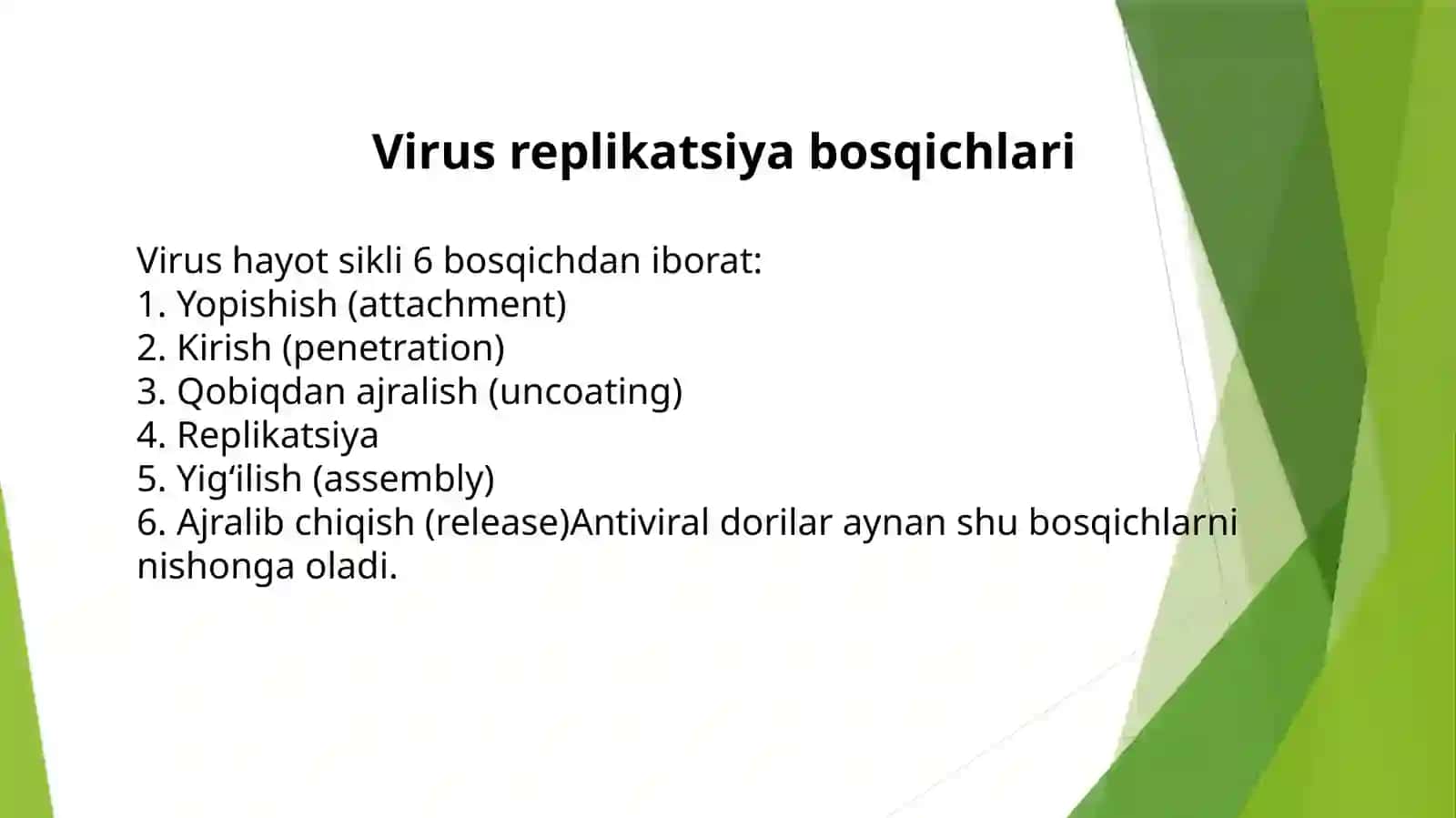 Viruslargavao‘smalargaqarshidorivositalariningta’sirmexanizmi 4