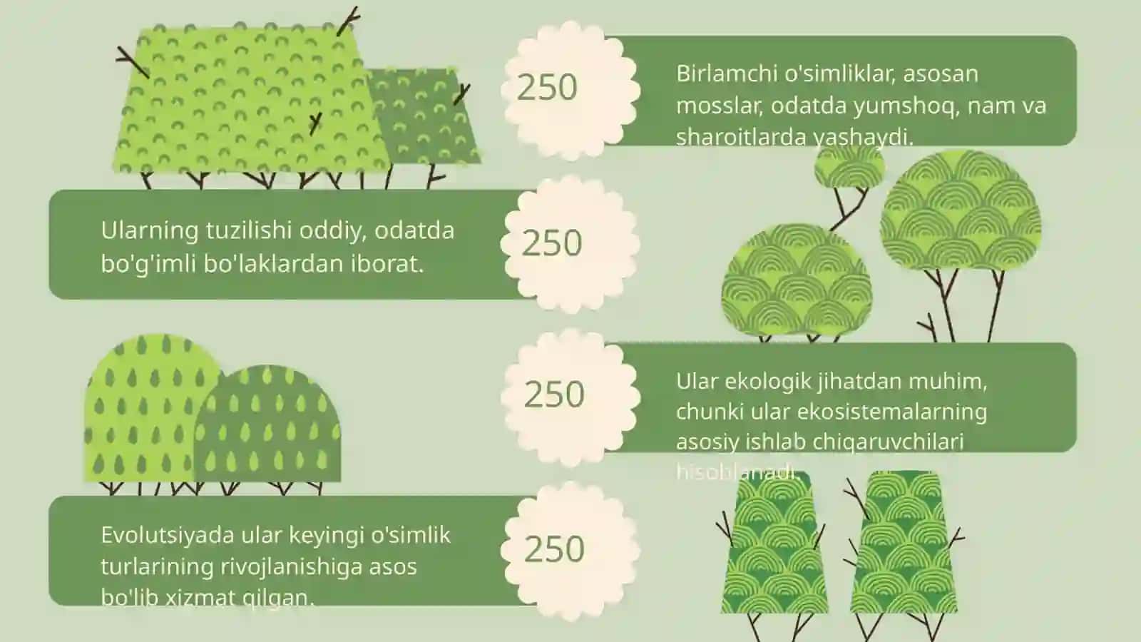 O'simliklar evolutsiyasining asosiy bosqichlari 4