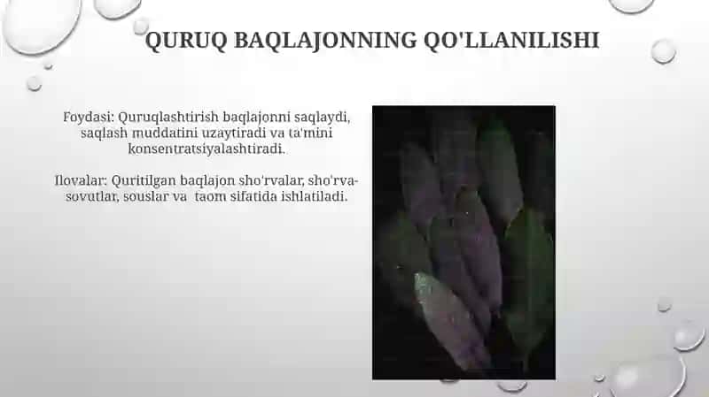 Baqlajonni Quritish Usullari 4