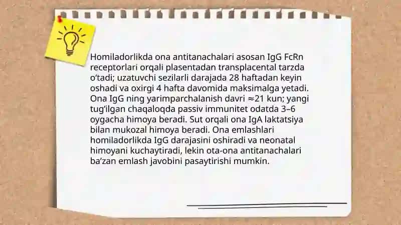 Immun tizimining shakllanishi va yoshga qarab oʻzgarishi 4