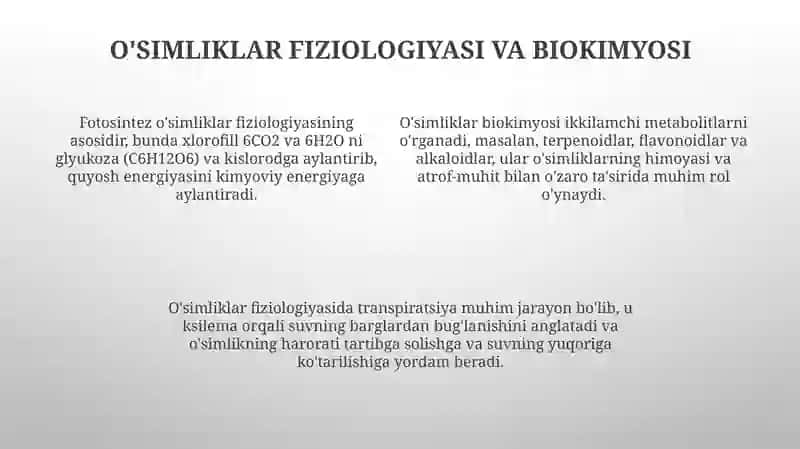 O'simliklarolami: tuzilishi, funksiyalari va ekologiyasi 4