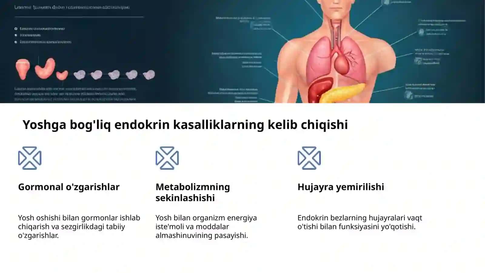 Endokrin tizim: Yosh va kasalliklar 4