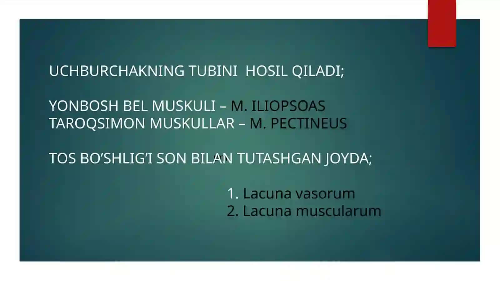 SON UCHBURCHAGI 4