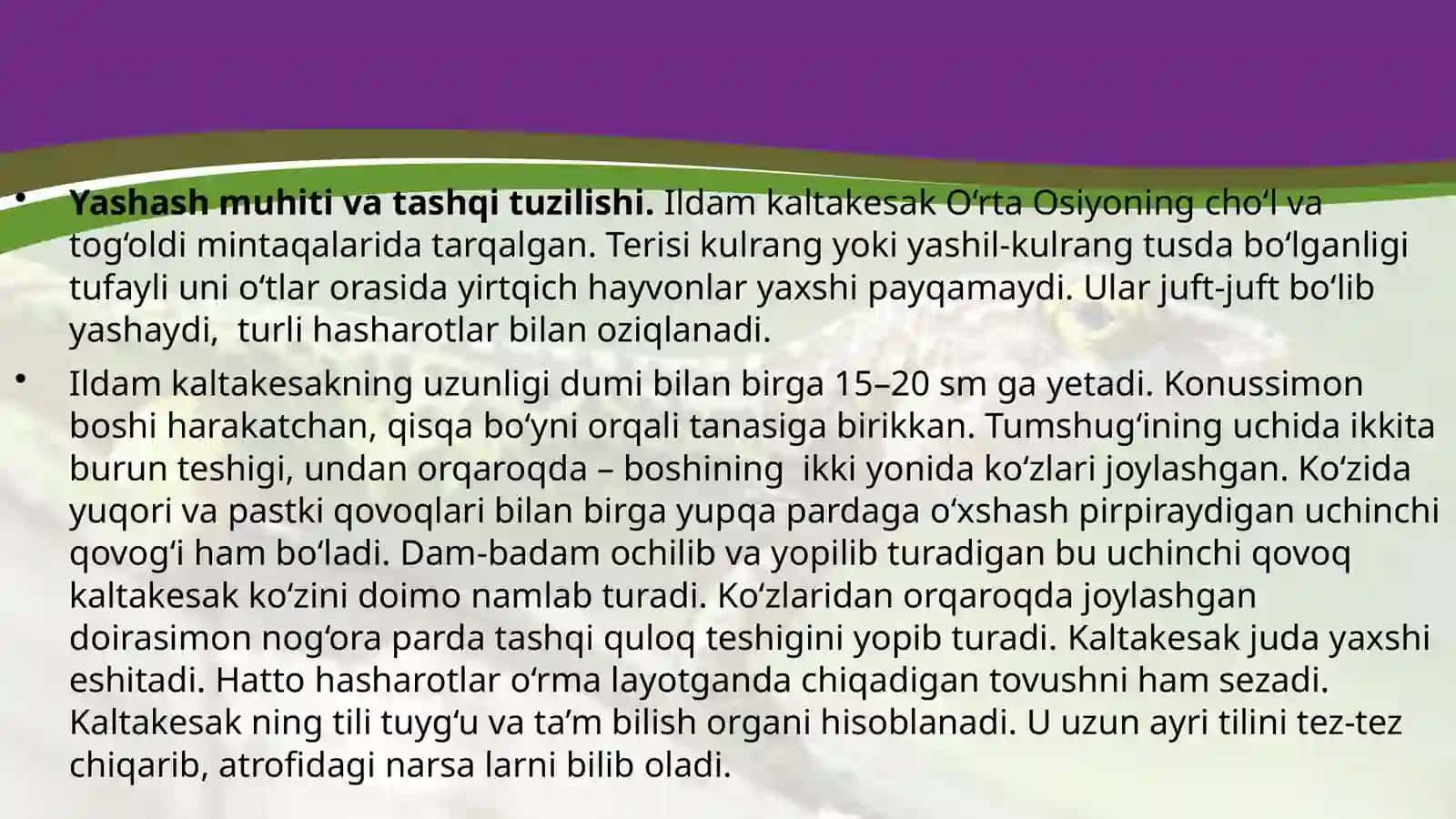 7-sinf Zoologiya 'Ildam kaltakesakning tuzilishi, ko'payishi va rivojlanishi' ko'rgazma 4