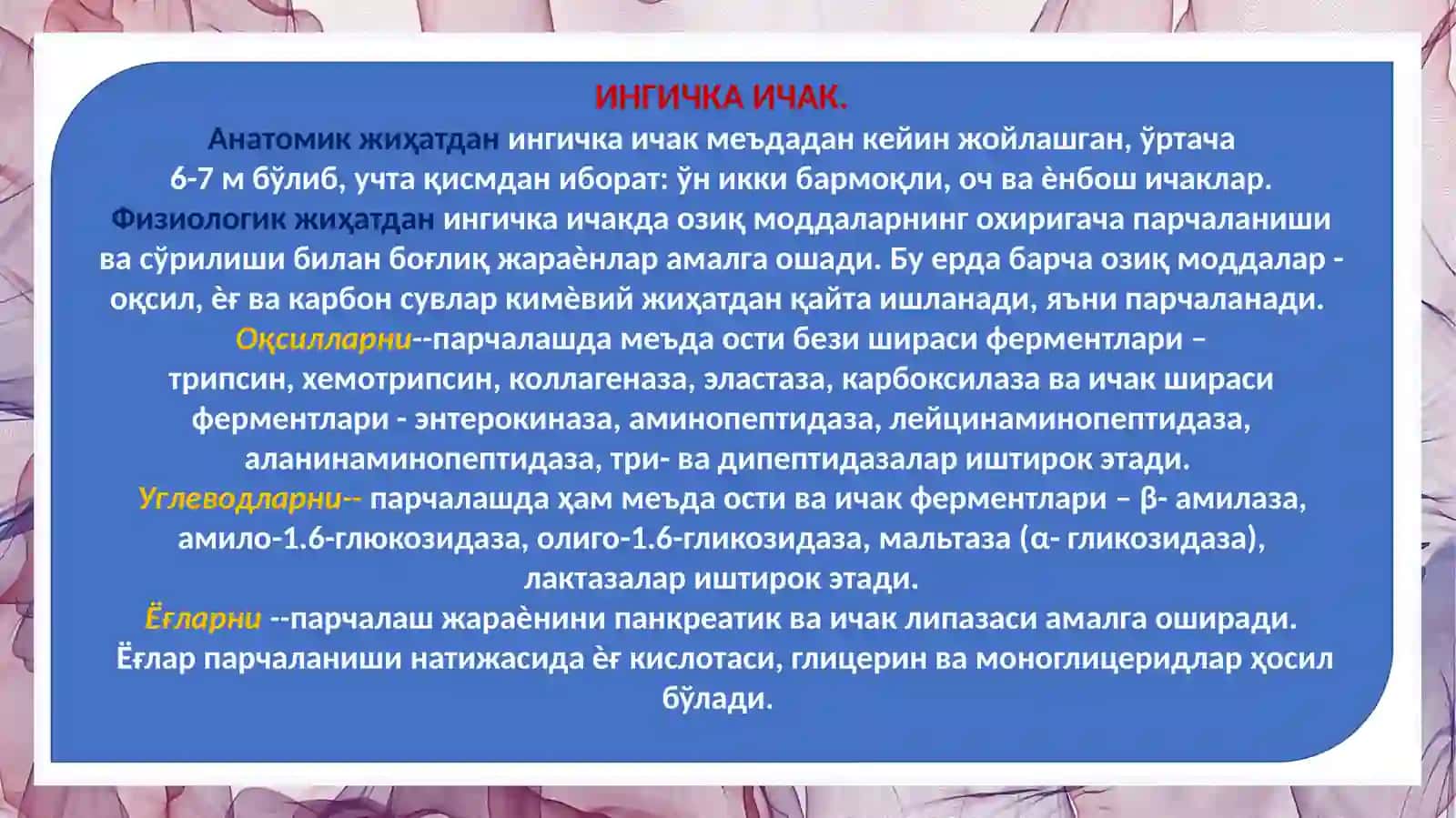 ИНГИЧКА ВА ЙЎҒОН ИЧАКНИ ГИСТОЛОГИК ТУЗИЛИШИ 4