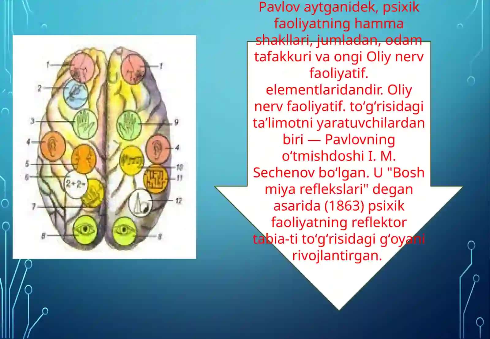 Oliy nerv faoliyati. Xotira xususiyatlarini aniqlas. Oliy nerv faoliyati tipini aniqlash 4
