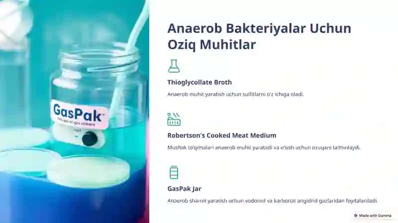 Mikrobiologiya: Aerob va Anaerob Bakteriyalarni Ajratib Olishda Qo'llaniladigan Oziq Muhitlar 4