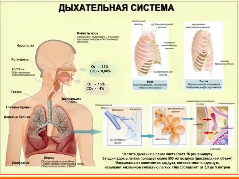 Зотилжам 4