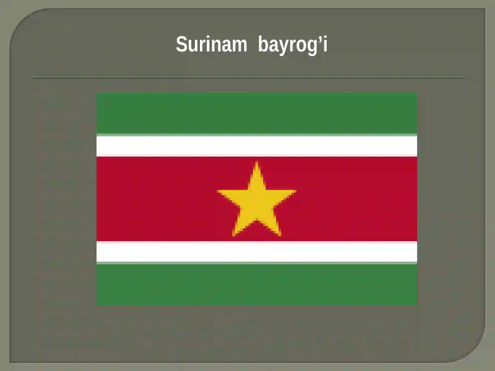 Surinam haqida 4
