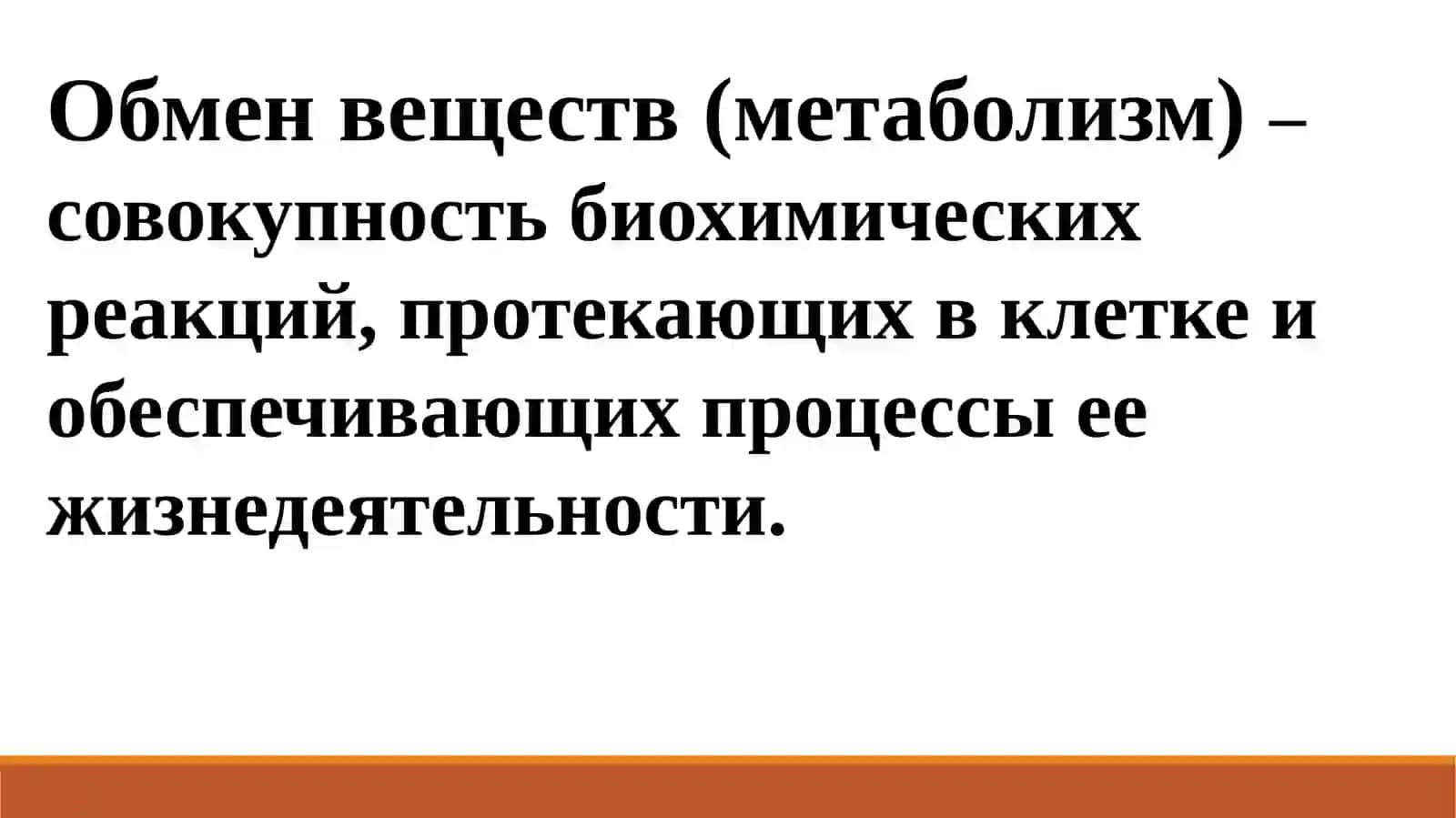 Обмен веществ и превращение энергии в клетке 4