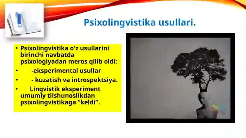 Psixolingvistika 4
