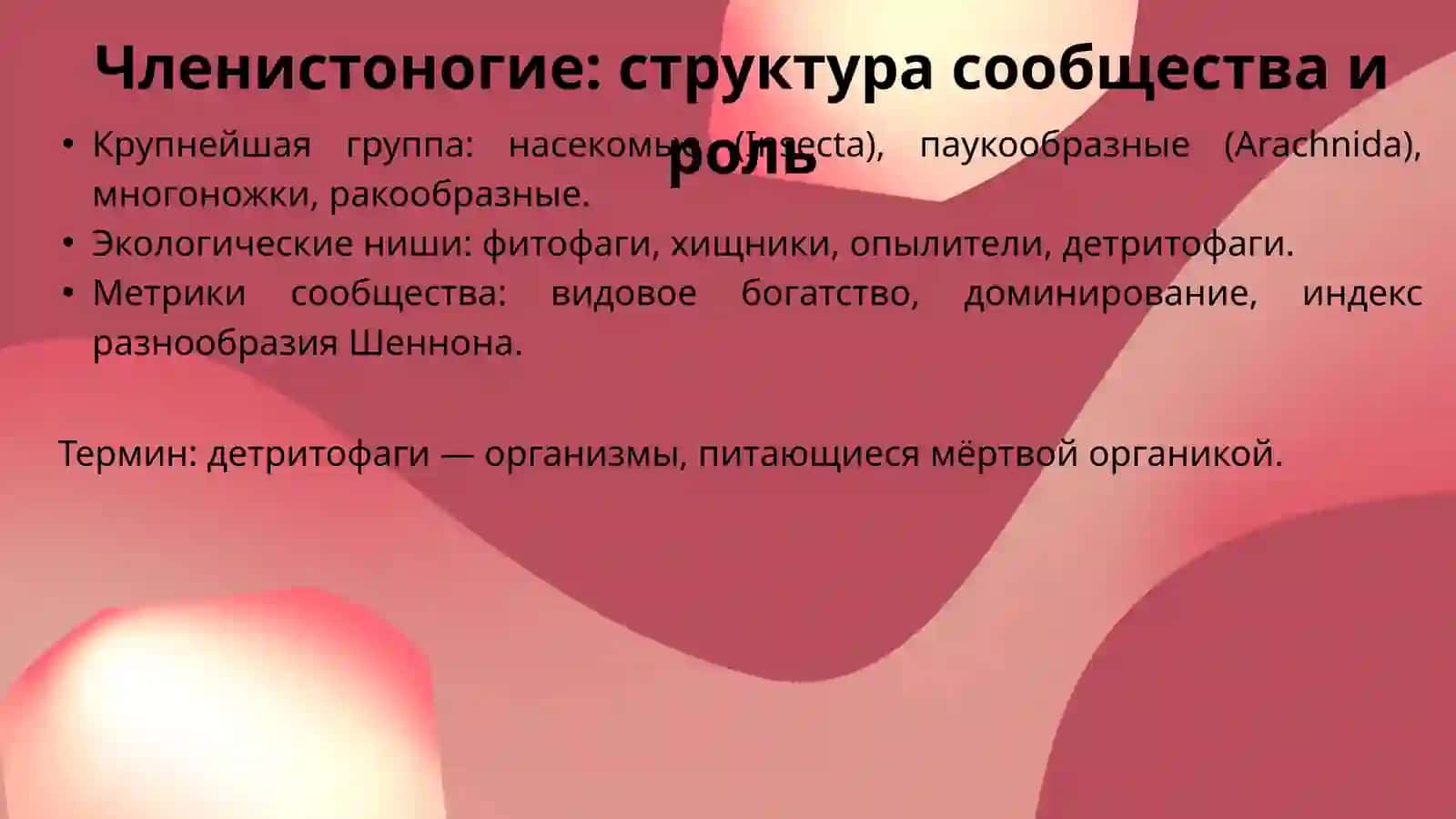 Биологическое разнообразие фауны беспозвоночных животных Узбекистана 4