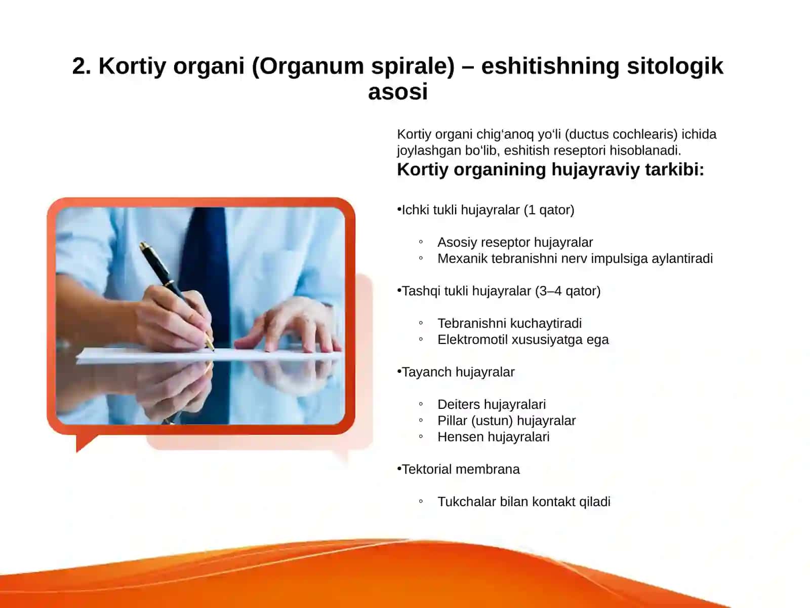 Eshitishning sitologik mexanizmlari 4