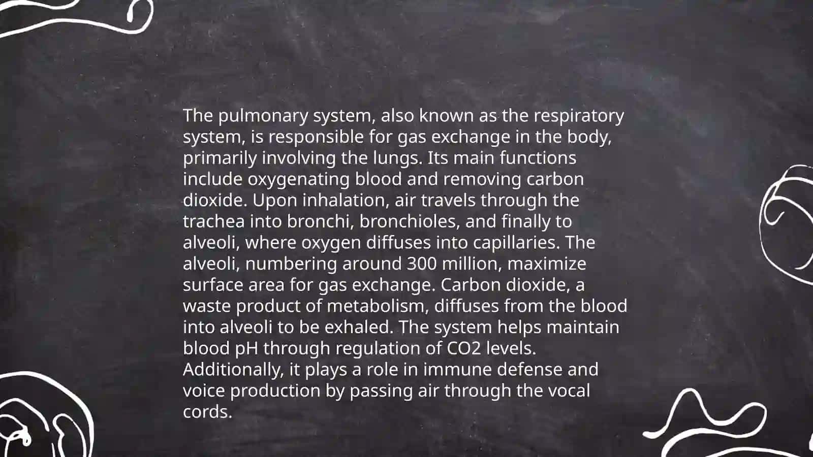 Anatomy of the Human Lungs 4