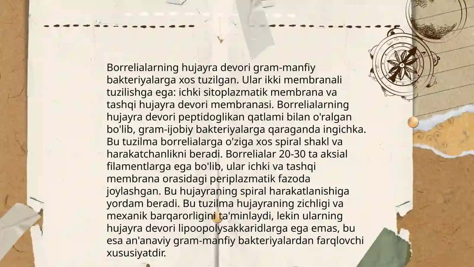 Borreliozlar morfologiyasi, strukturasi tarqalganligi keltirib chiqaruvchi kassalliklari labaratoriya diagnostikasi 4