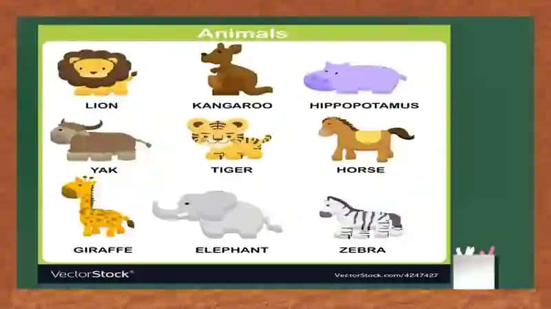 ANIMALSINENGLISH 4