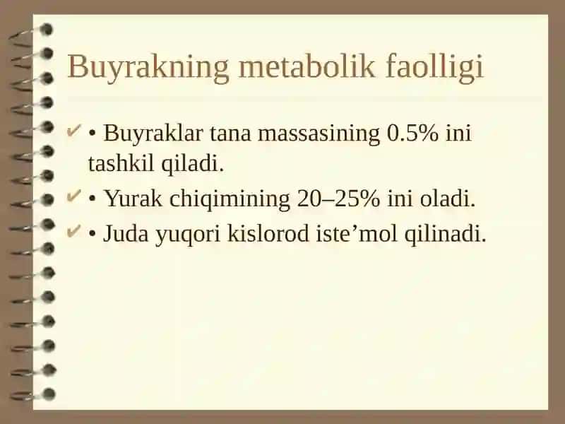 Buyrakni energiya bilan taʼminlanishi 4