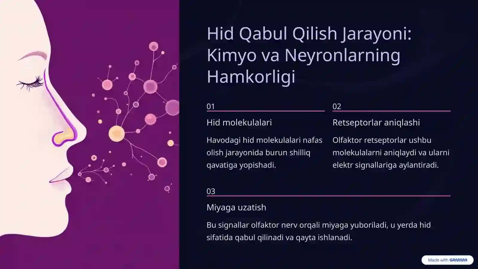 Hid Bilish A'zosi: Burun va Uning Sirli Dunyoqarashi 4