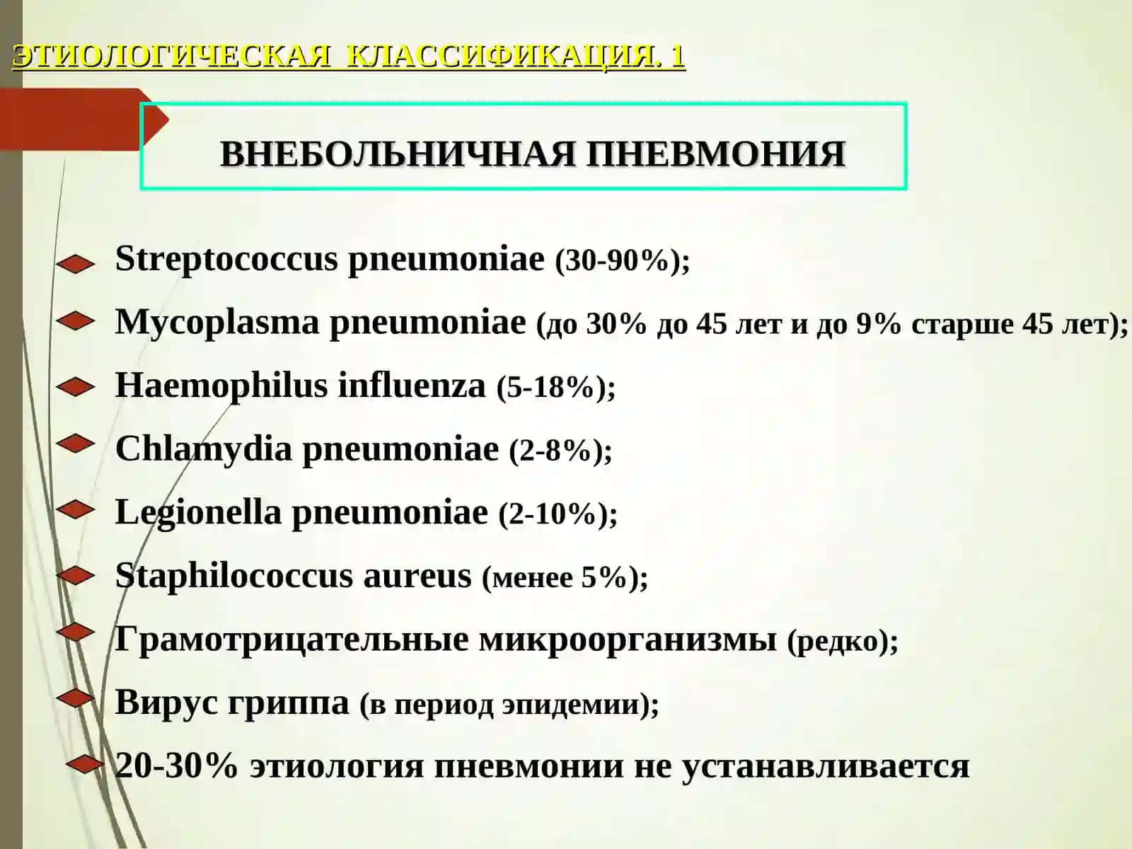 атипик пневмония 4