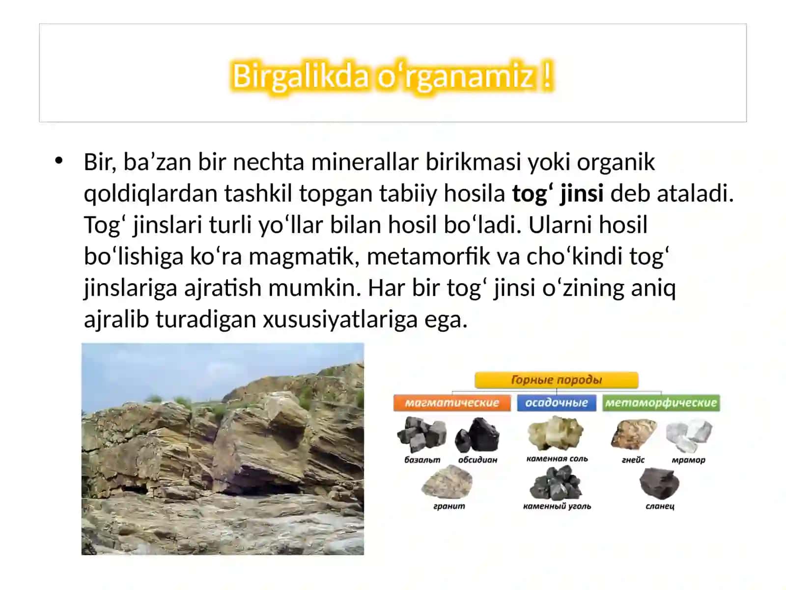 Tog‘jinslarining turlari 4