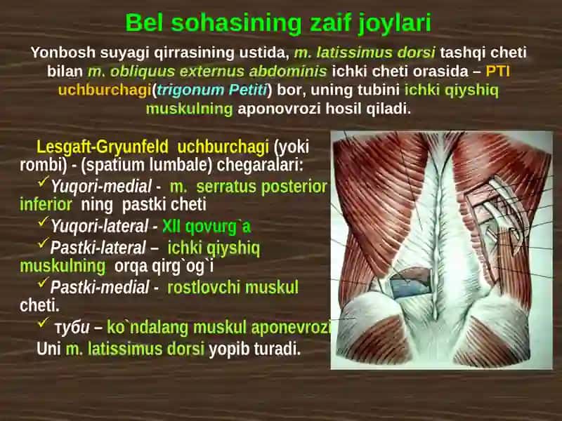 BELSOHASIV АQORIN PARDAORQABO`SHLIG`NING KLINIK ANATOMIYASI VA OPERATSIYALARI 4