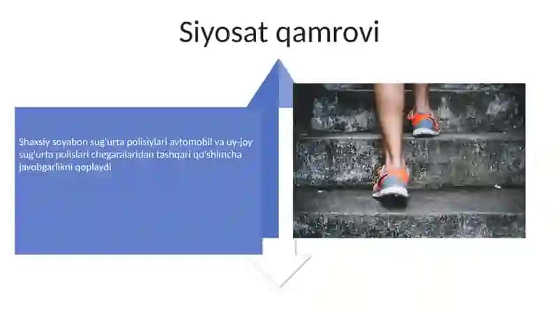 Shaxsiy sug'urta 4