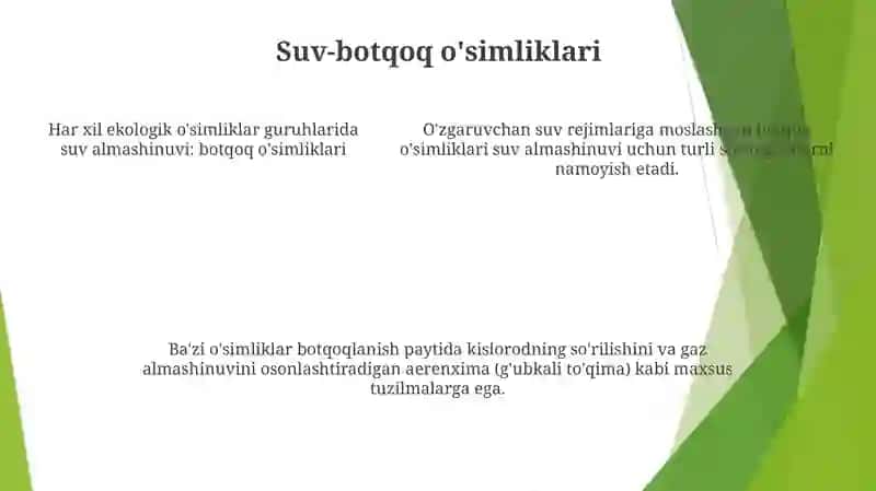 Turli Ekologik Òsimlik Guruhlarida Suv Almashinuvi 4
