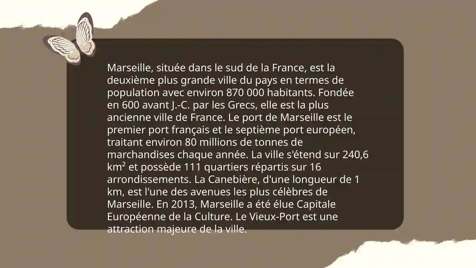 Les villes pricipales de la France 4