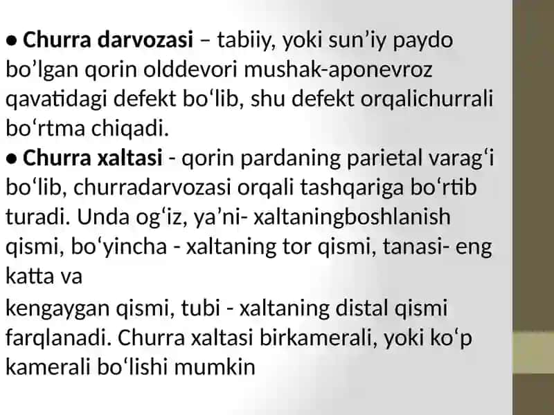 Qorinolddevorichurralarivauningasoratlari 4
