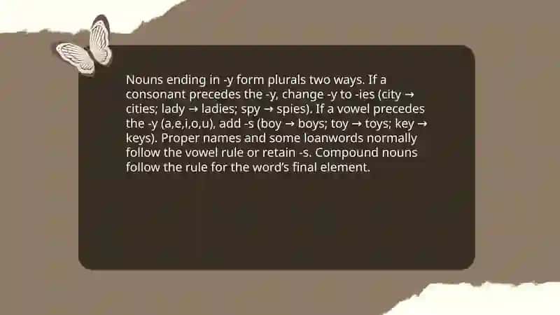 Plural forms and irregular plurals 4