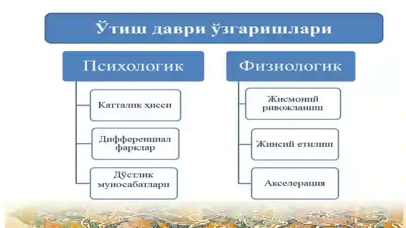 Ўсмирлик даврида психик ривожланиш 4