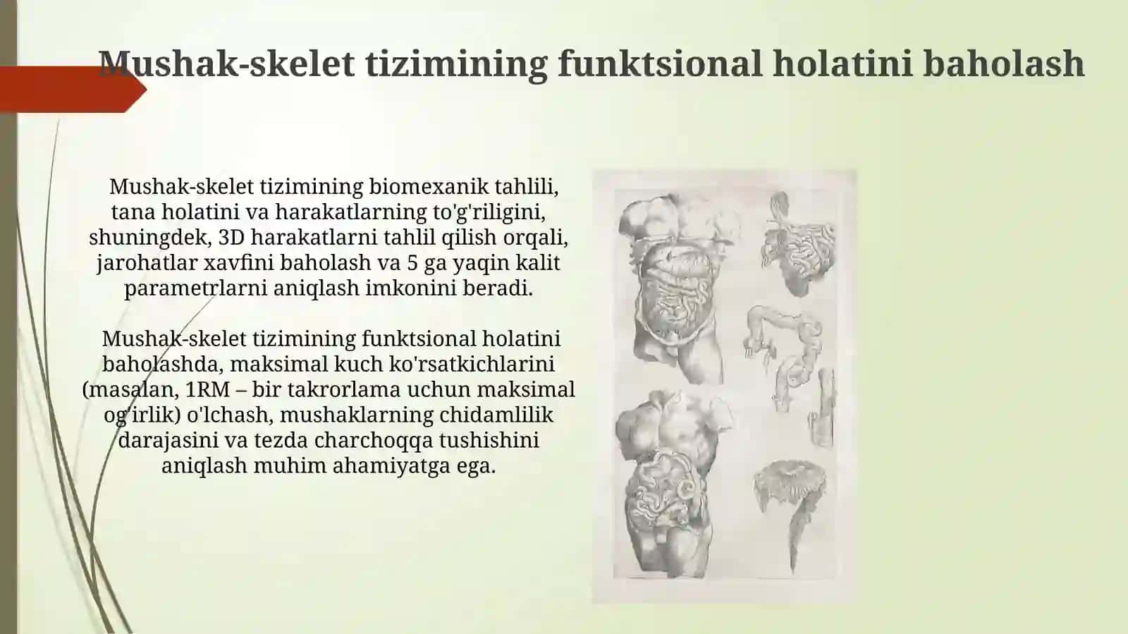 Jismoniy mehnatni bajarishda organizmning funktsional holatini baholash 4