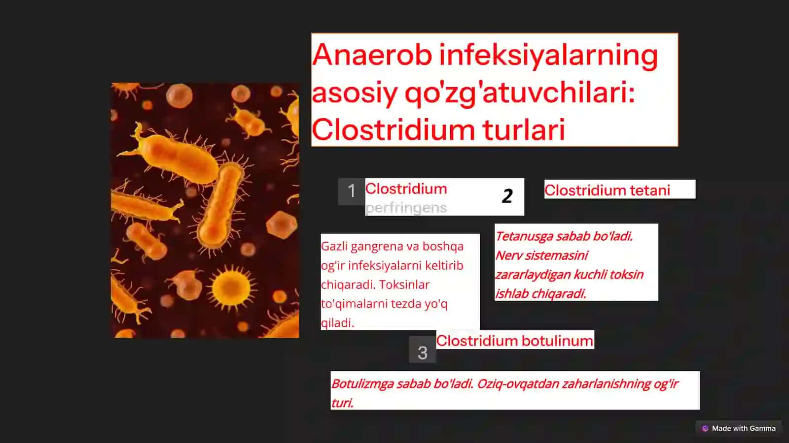 Mikrobiologiya, virusologiya, immunologiya fanidan Yiringli yallig'lanish kasalliklari va anaerob infeksiyalarining qo'zg'atuvchilari 4