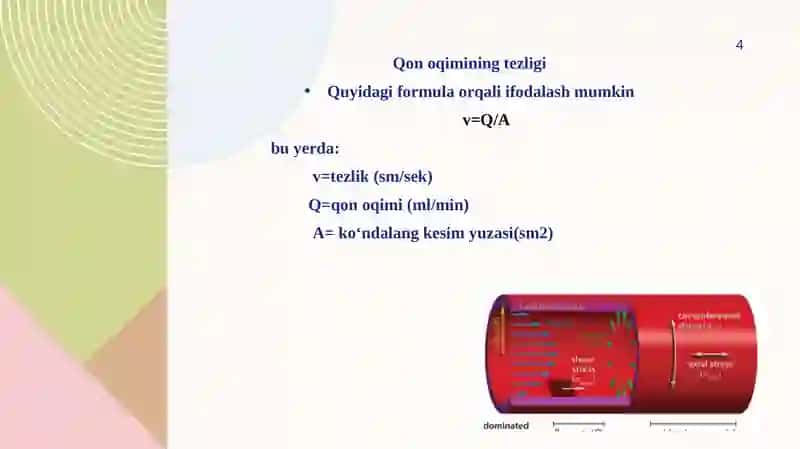 Arterial qon bosimi va periferik puls tavsifi. Mikrosirkulyator havzada 
qon aylanishi. Venalarda qo 4