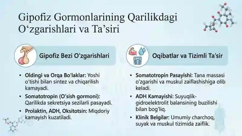Qarilikda Endokrin tizim oʻzgarishlar va taʼsirlar 4