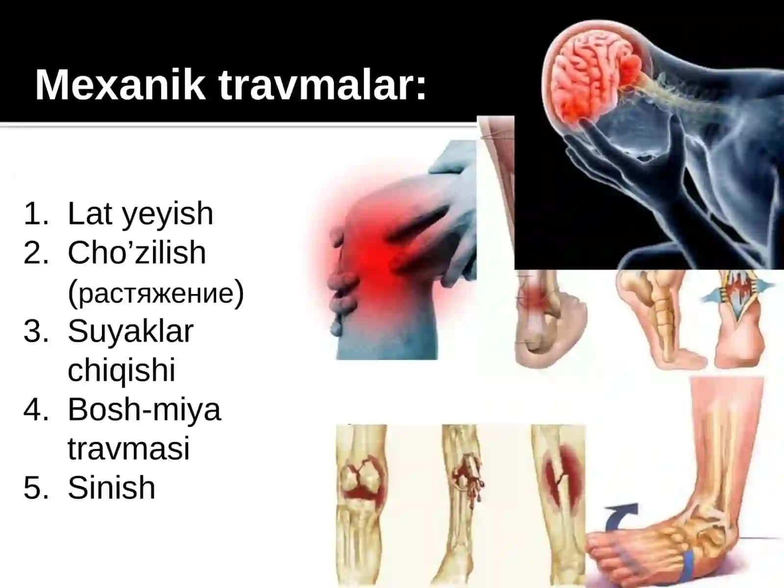Tashqi muhit omillari va ularning organzmga ta'siri 4