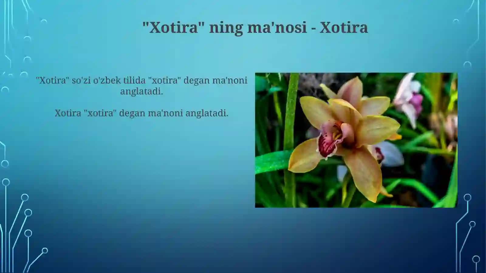 Xotira Va Uning Turlari 4