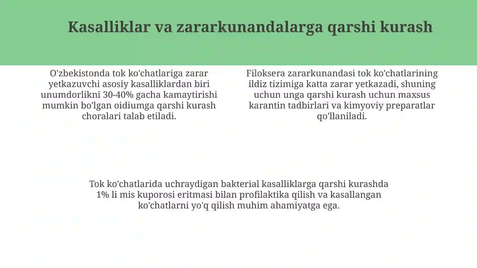 Oʻzbekistonda tok koʻchatlarining asosiy muomalari 4