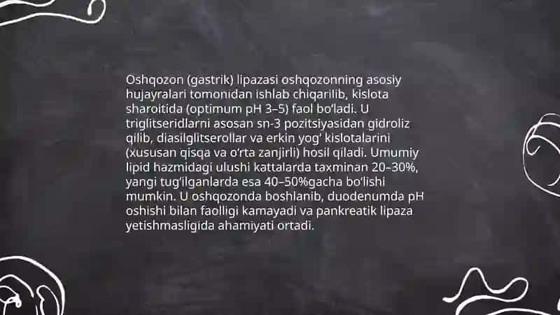Lipidlarning hazm bo‘lishi va so‘rilishi 4