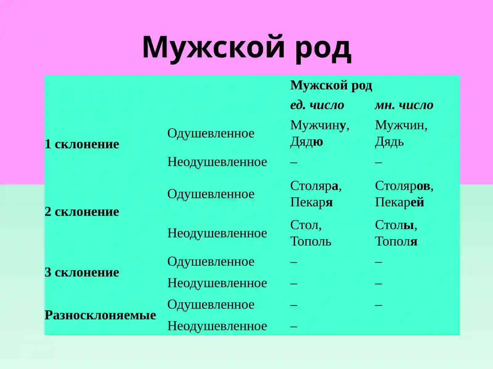 Винительный падеж 4
