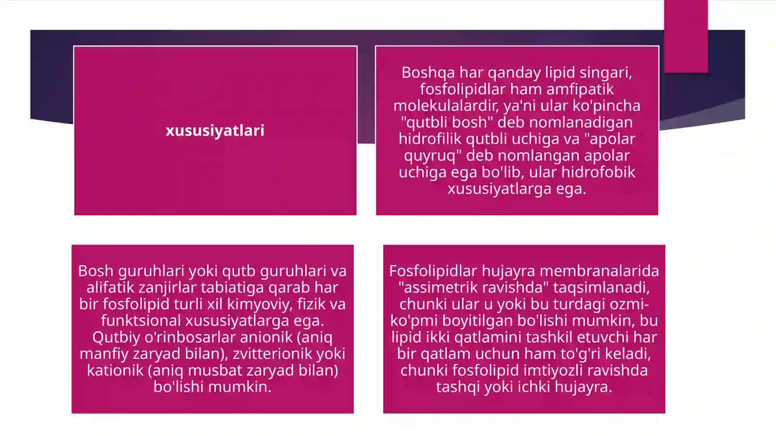 Fosfolipidlar: xususiyatlari, tuzilishi, funktsiyalari, turlari 4
