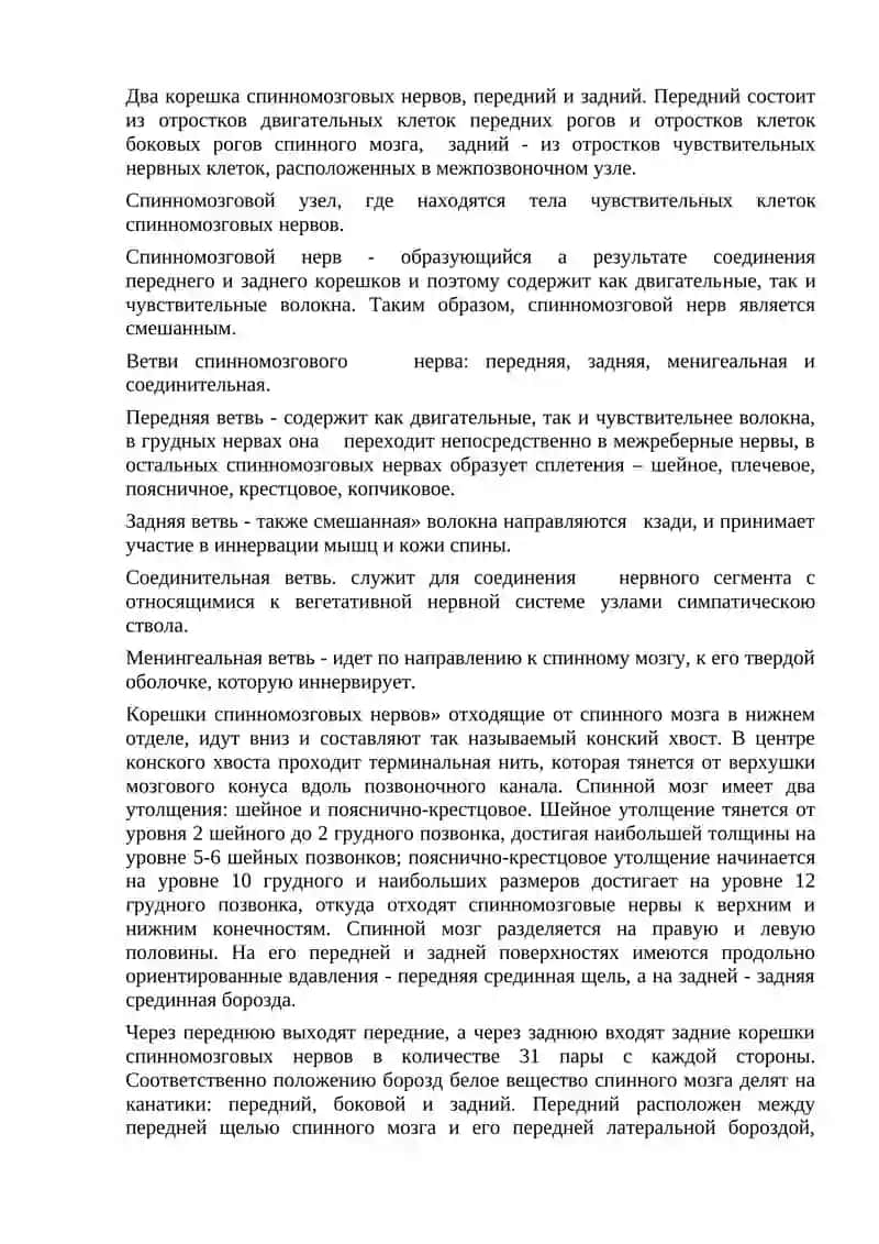 Центральнaя нервная система 4