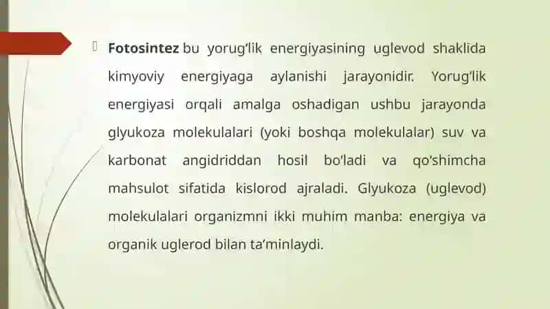 Fotosintezning o'rganilishi 4