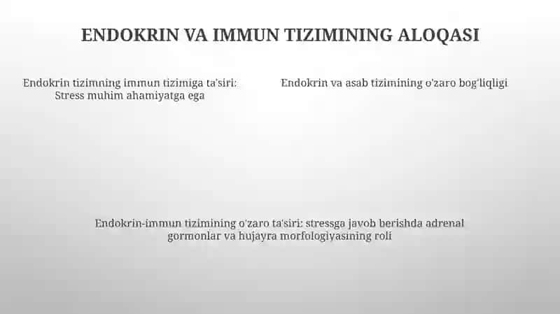 Endokrin Va Nerv Tizimi Aloqasi Endokrin Va Immun Tizimning Ozaro Aloqasi Stress Holda Buyrak Usti Postlog'Ining Garmonlarining Roli Va Hujayralarning Morfalogik Tuzilishi 4