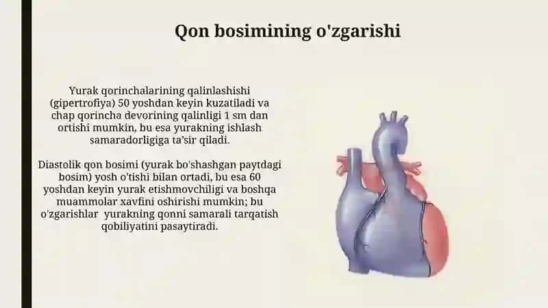 Yurak qon tomir sistemasining yoshga qarab oʻzgarishi 4